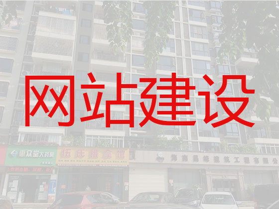 临沧专业网站设计建设